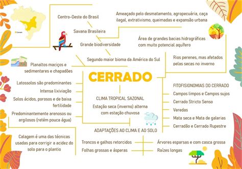 Mapa Mental Sobre Cerrado BRAINCP