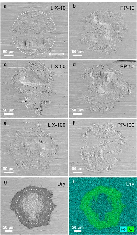 Sem Overview Images Of The Contact Areas On The Stationary Cylinder