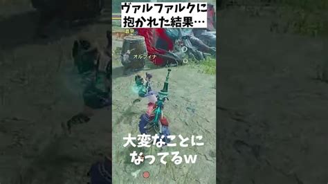 ヴァルファルクに抱かれた結果【mhsbモンスターハンターライズ：サンブレイク】 モンハンライズ 攻略動画まとめ【初心者必見】