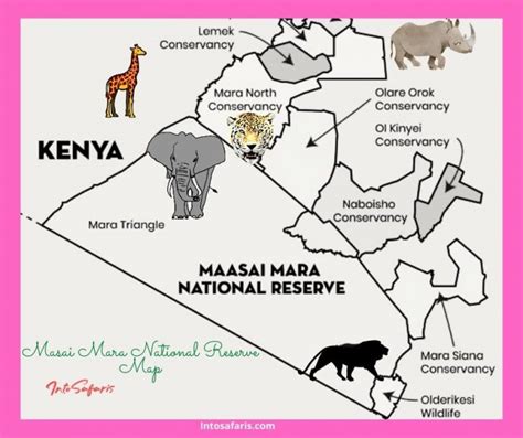 Faqs About Masai Mara You Should Know Before Safari