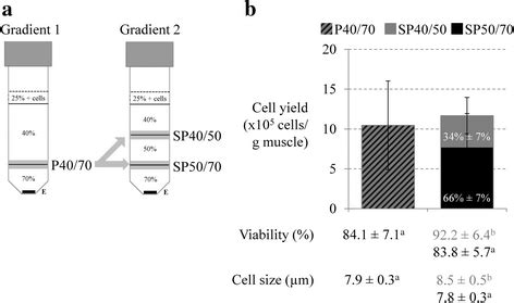 Overview of Percoll gradients employed and cell characteristics ...