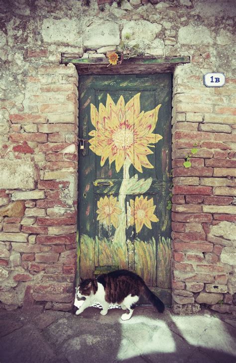 Gatto Davanti Alla Porta Beautiful Doors Painted Doors Unique Doors