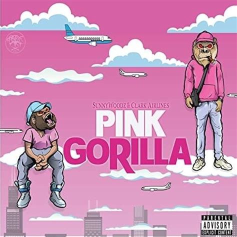 Sunny Woodz And Clarkairlines Pink Gorilla Lyrics And Tracklist Genius