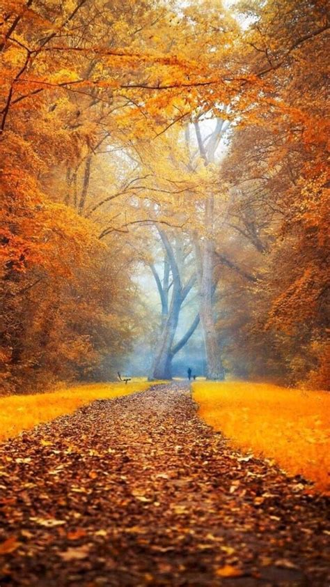 Pin Di Konsmal Su Paesaggi Paesaggio Autunnale Paesaggio