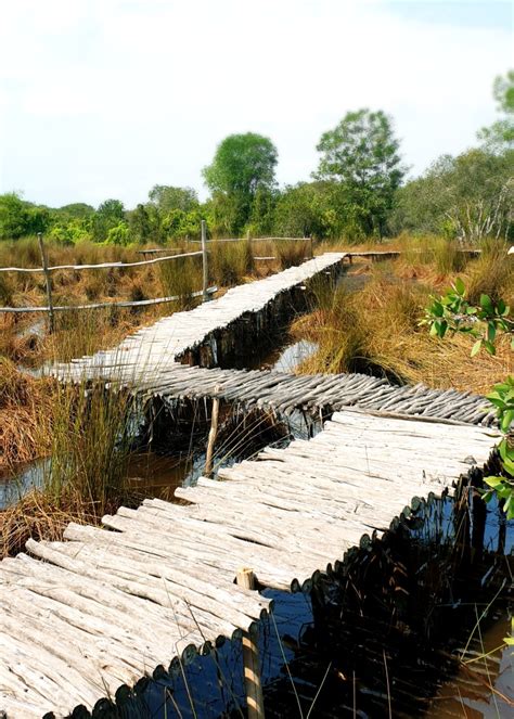 Canh Dong Bat Tan in Long An, 850000, Mekong Delta ️ Best places to ...