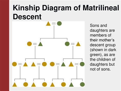 Matrilineal Chart