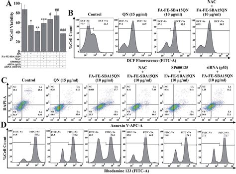 Determination Of Cell Viability Iros Apoptosis Necrosis And