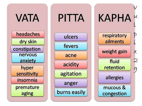 Doshas Pitta Diet Tips - comforttoday