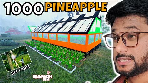 I Start Making 1000 Pineapple In Ranch Simulator 37 Youtube