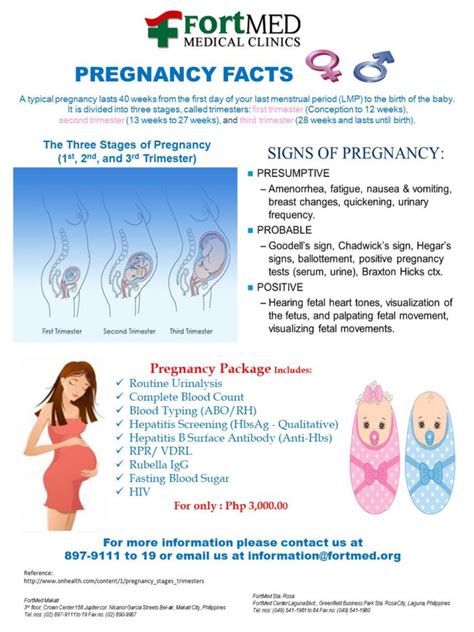 Pregnancy Facts FortMED Clinics