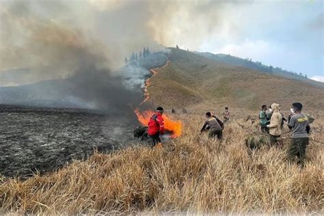 Fakta Fakta Kebakaran Di Taman Nasional Bromo Tengger Semeru Akibat