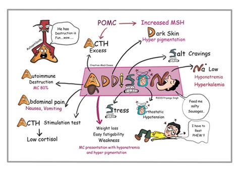 Adrenal Disorders Flashcards Quizlet