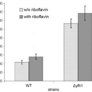 Iron Content In Cells Of P Guilliermondii Wild Type Strain And Yfh