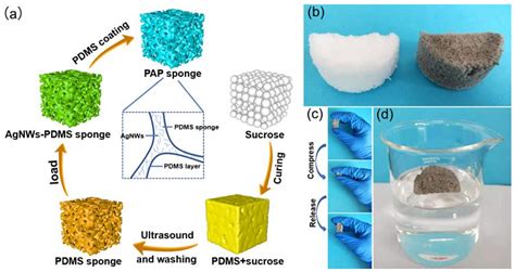 Porous Sponge