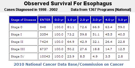 Survival Rate Esophageal Cancer Life Expectancy - CancerWalls