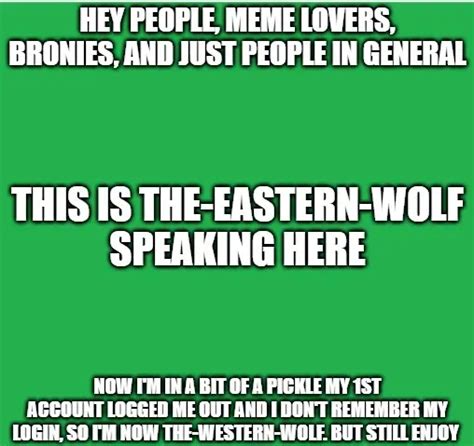 HEY PEOPLE MEME LOVERS BRONIES AND JUST PEOPLE IN GENERAL THIS IS