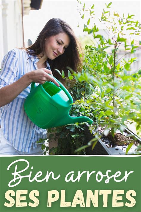 Quand Et Comment Arroser Les Plantes En Pot Plante Planter Des