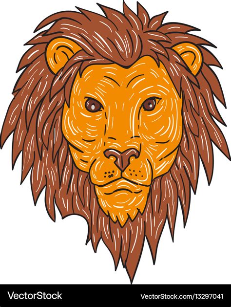 Male lion big cat head drawing Royalty Free Vector Image