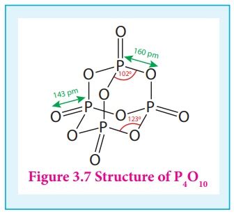 Structure Of Oxides And Oxoacids Of Phosphorus