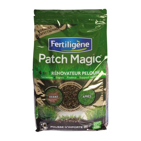 Patch Magic En R Novateur Pelouse Fertilig Ne