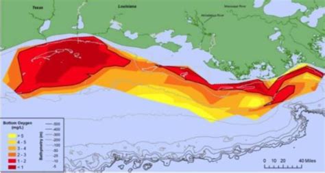 La Zona Muerta Del Golfo De M Xico Se Mantiene Sobre M S De Mil Km