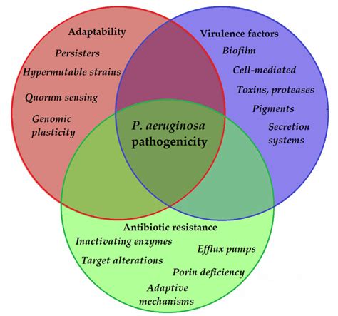 Pseudomonas Aeruginosa Infection Statistics Carpet Vidalondon