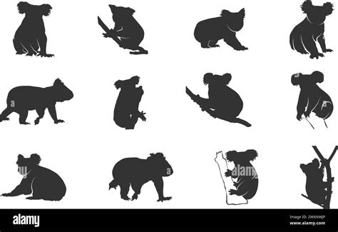 Koala Silhouettes Koala Bear Silhouette Koala Silhouette Koala Bear