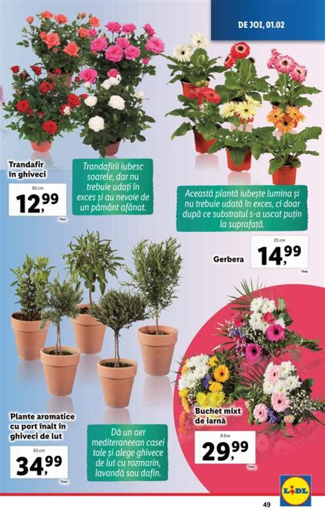 Catalog Lidl Ianuarie Februarie Oferte Revista Lidl