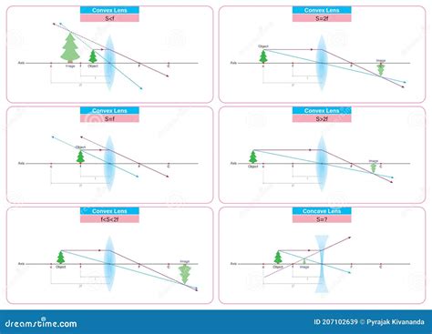 Convex Lens And Concave Lens Graphics Diagram Stock Vector Illustration Of Curvature