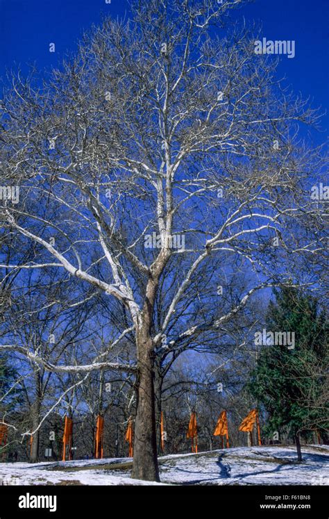 The Gates, Central Park, New York, 1979-2005 Stock Photo - Alamy