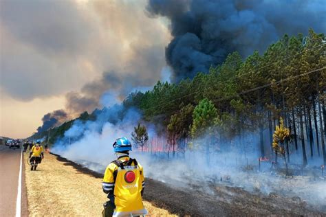 Incendios en Corrientes lo que deja una catástrofe Portal Universidad