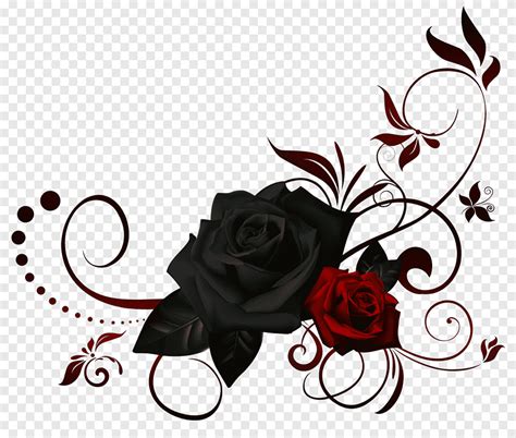 Black Rose Flower Rose Border Love Flower Arranging Png PNGEgg