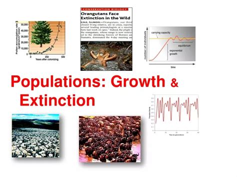 Ppt Populations Growth And Extinction Powerpoint Presentation Id9409952