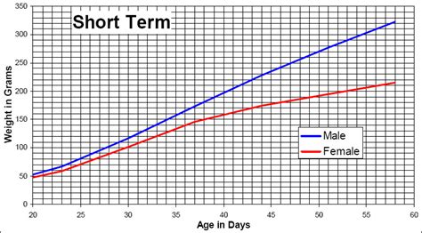 Hilltop Lab Animals Inc Hla®sd Growth Chart