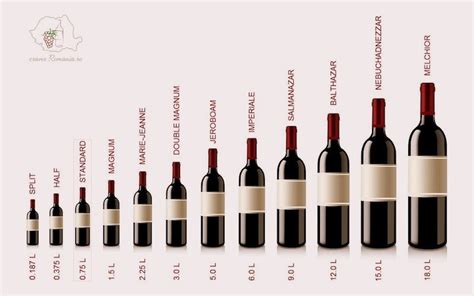 16 Things Everyone Should Know About Wine