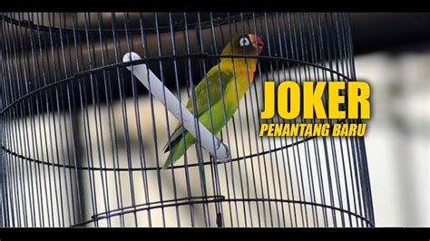 PENANTANG BARU JOKER Real KONSLET YouTube