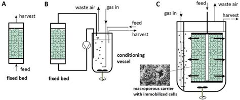 Design And Operation Of Fixed Bed Bioreactors For Immobilized Bacterial