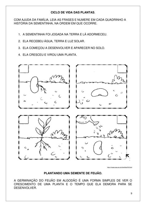 Ano Atividades De Ci Ncias Animais E Plantas Cuca Super Legal