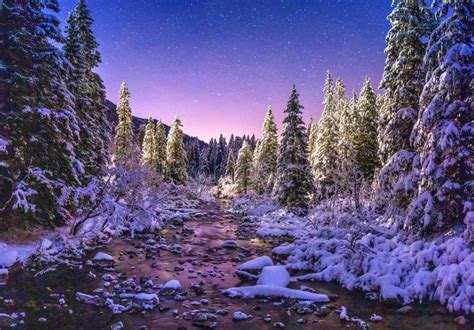 Paisagem Da Natureza Do Inverno Da Noite Nas Montanhas Foto De Stock