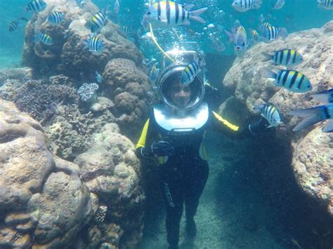 Nusa Dua Underwater Sea Walking Experience Getyourguide