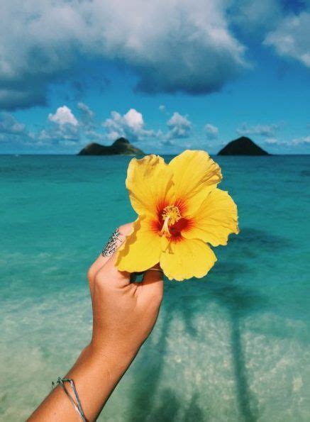 Best Flowers Yellow Hawaii Ideas Hawaii Pictures Summer Vibes Summer Aesthetic