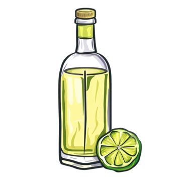 Tequila Bottle Cartoon Tequila Bottle Shot PNG Transparent Image And