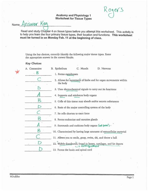 Anatomy Worksheets Epithelial Tissues Answers Printable Worksheets