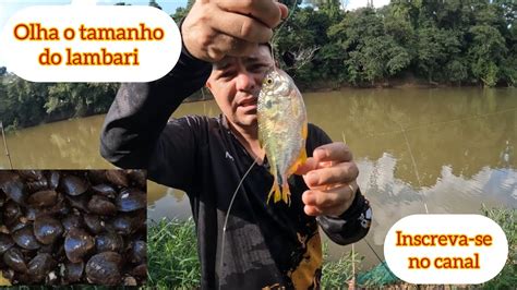 Pescaria O Pai Primeiro Curimba Na Conchinha Riosorocaba Curimba