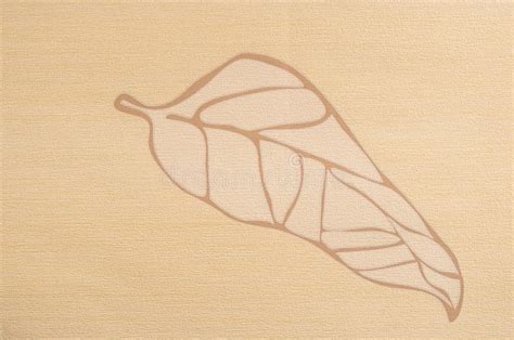 Abstract Beige Leaf Background Stock Photo Image Of Beige Ornamental