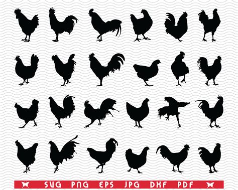 SVG Roosters Hens, Silhouettes digital clipart By DesignStudioRM ...