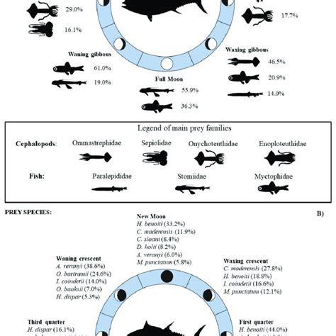 Abundance (%N) of the most important mesopelagic fish and cephalopod ...