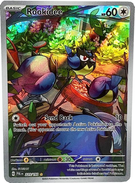 Amazon Pokemon Rookidee Paldea Evolved Illustration