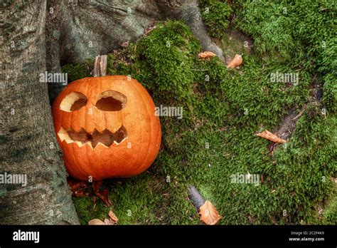 Halloween Pumpkin With Scary Cutout Face Stock Photo Alamy