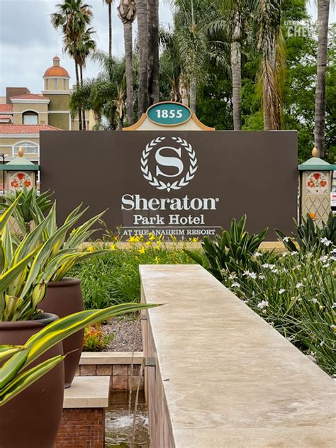 Sheraton Park Hotel Review Luxury Hotel Close To Disneyland Tauni Everett